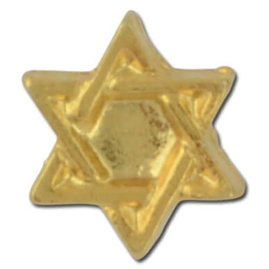 Six Point Star Lapel Pin