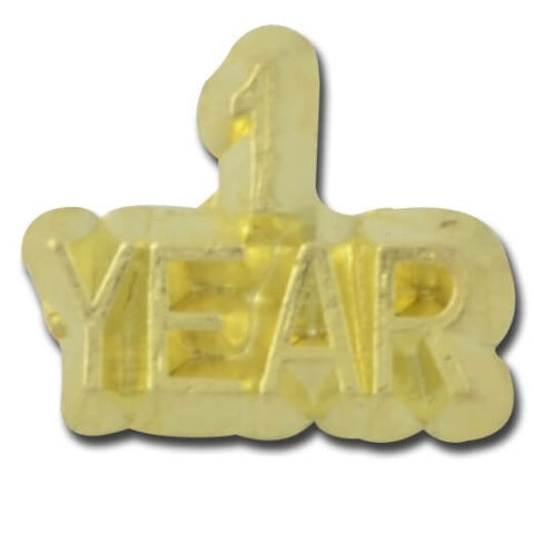 1 YEAR Lapel Pin