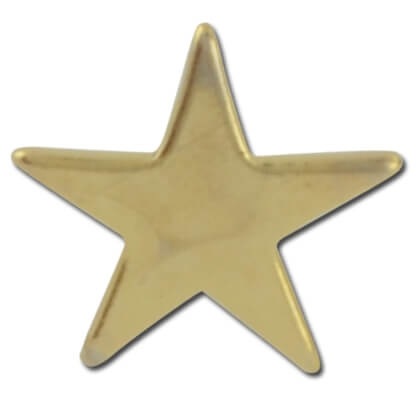 Flat Star 2 Lapel Pin