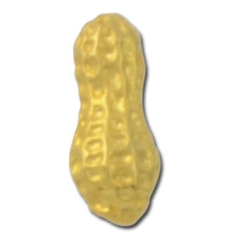 Peanut Lapel Pin